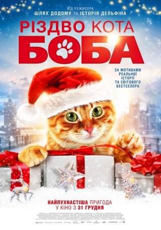 Різдво кота Боба (з 31 грудня)